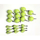 KIT PIOMBI FLUO DRIFTING
